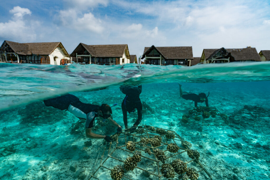 Embracing Maldives' Unique Ecosystem: Sustainable Practices for Our Islands